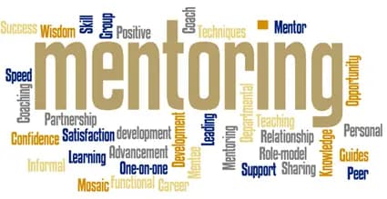 Real Estate Mentorship Program