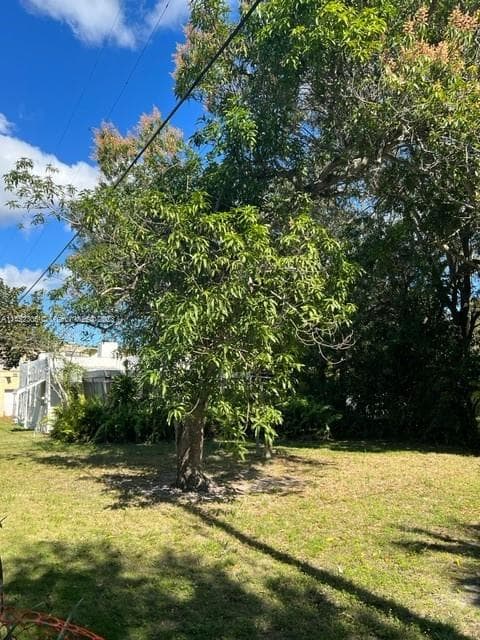 821 NE 120th St, Biscayne Park FL 33161 - Biscayne Park, FL - Photo 3
