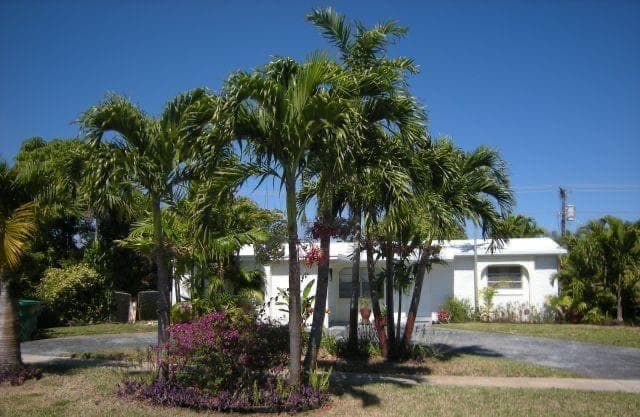 4841 NW 19th Court, Lauderhill FL 33313 - Lauderhill, FL - Photo 1