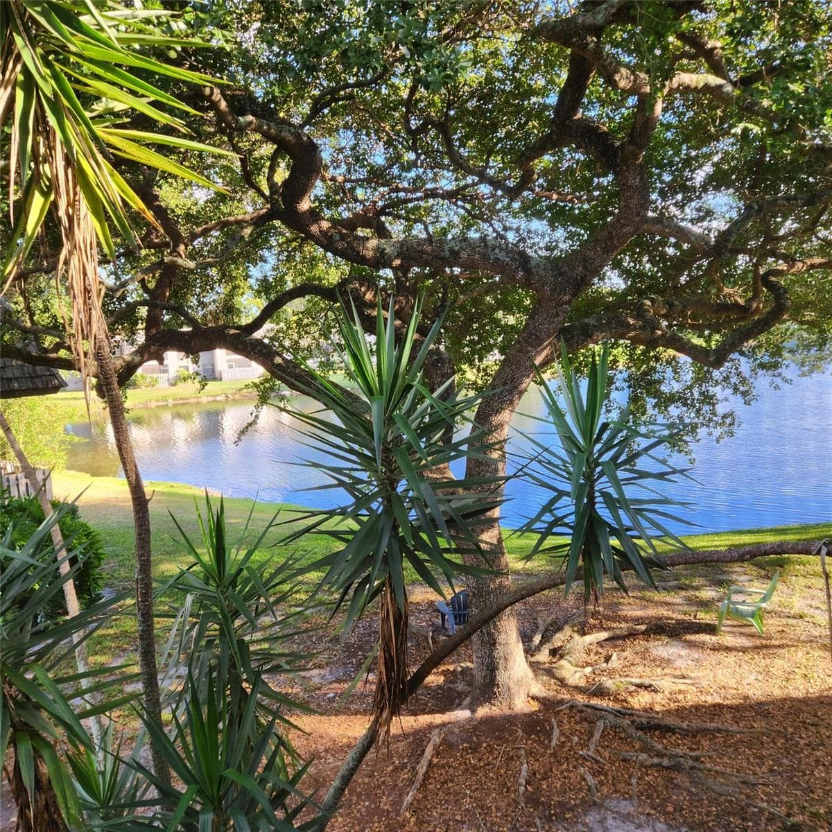 3634 NW 95th Terrace # 3634, Sunrise FL 33351 - Sunrise, FL - Photo 1