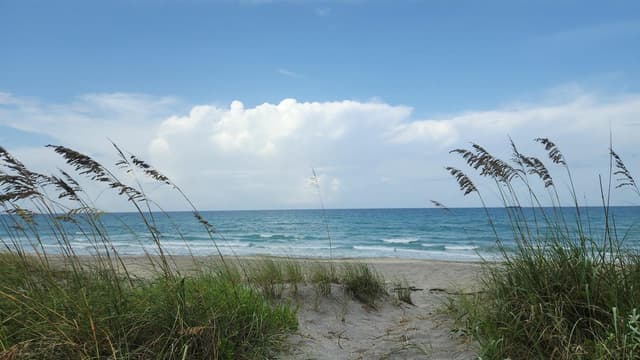 115 Olympus Way, Jupiter FL 33477 - Jupiter, FL - Photo 3
