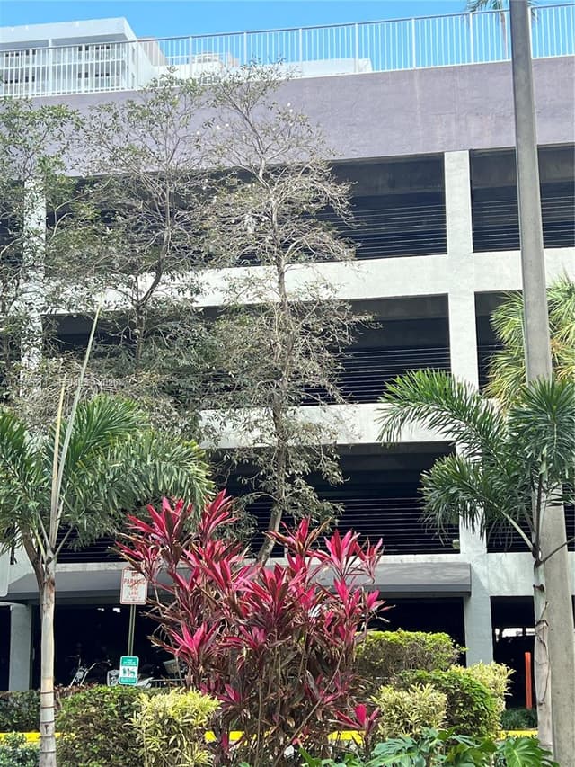 850 N Miami Ave # 1806, Miami FL 33136 - Miami, FL - Photo 2