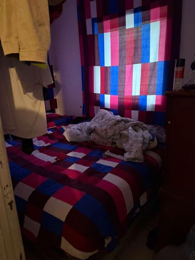 Image 7