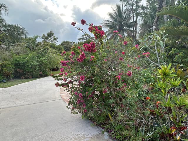 6220 Kelty Way, Lake Worth FL 33467 - Lake Worth, FL - Photo 3