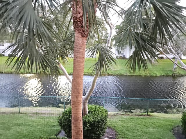 7900 NW 6th Street # 205, Pembroke Pines FL 33024 - Pembroke Pines, FL - Photo 2