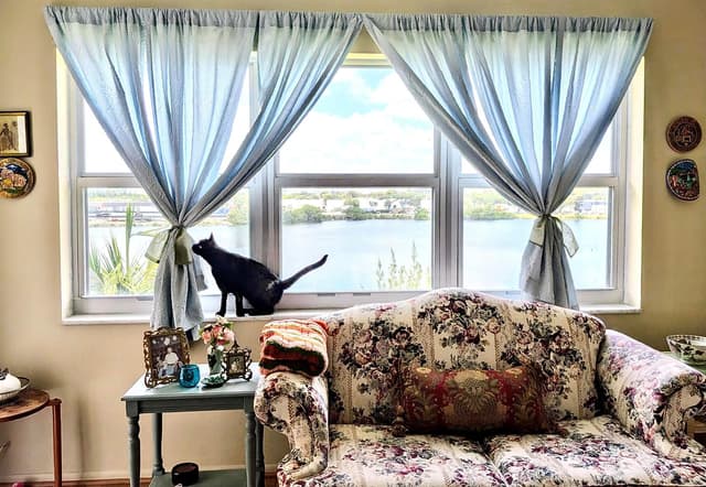 4311 Crystal Lake Drive # 407, Deerfield Beach FL 33064 - Deerfield Beach, FL - Photo 4