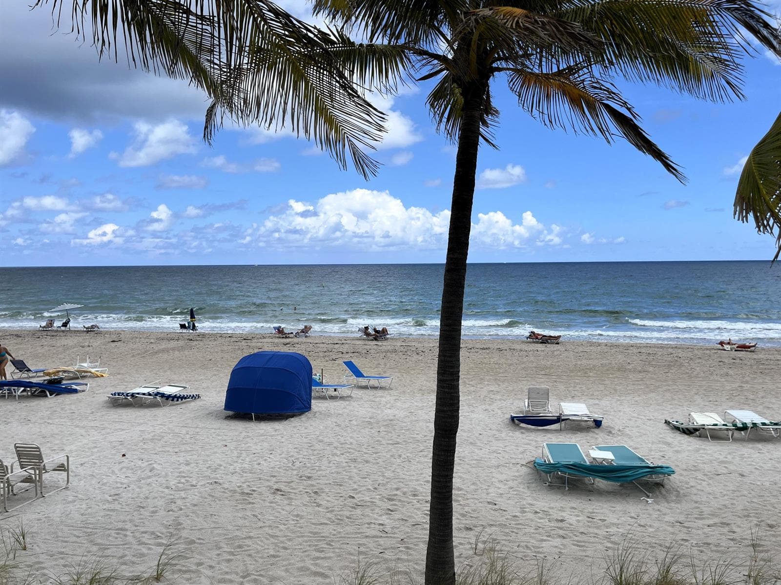 3500 Galt Ocean Drive # 208, Fort Lauderdale FL 33308
