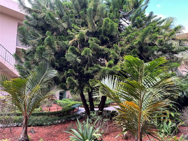 10525 SW 112th Ave # 314, Miami FL 33176 - Miami, FL - Photo 5