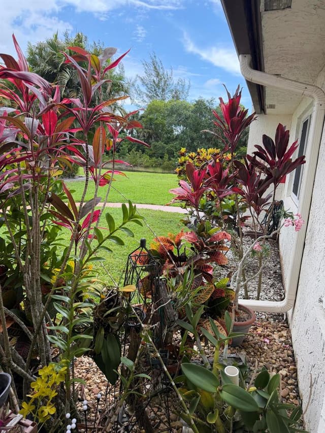 212 Lake Susan Lane, West Palm Beach FL 33411 - West Palm Beach, FL - Photo 6