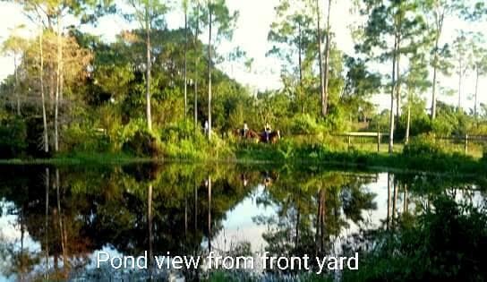 15531 42nd Road N, FL 33470 - Photo 6