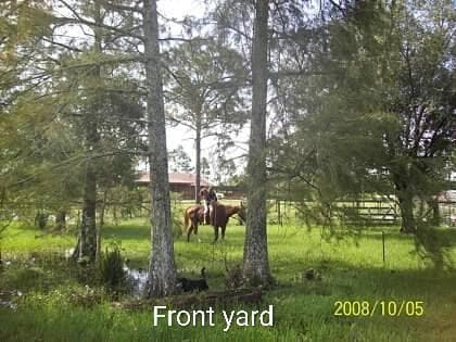 15531 42nd Road N, FL 33470 - Photo 7