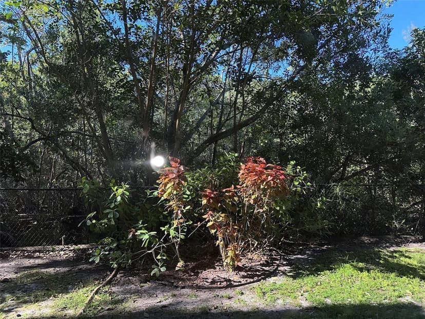 529 E Sheridan Street # 1081, Dania Beach FL 33004