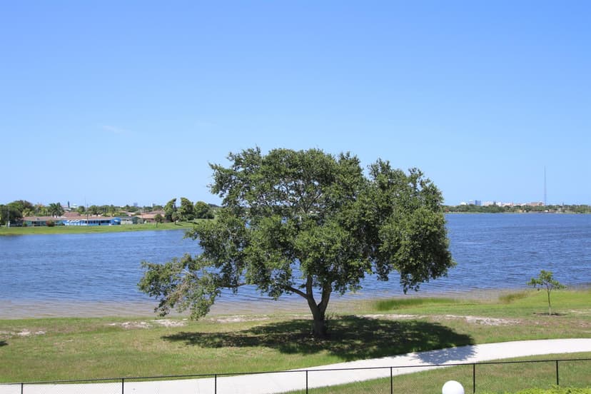 470 Executive Center Drive # 3b, West Palm Beach FL 33401