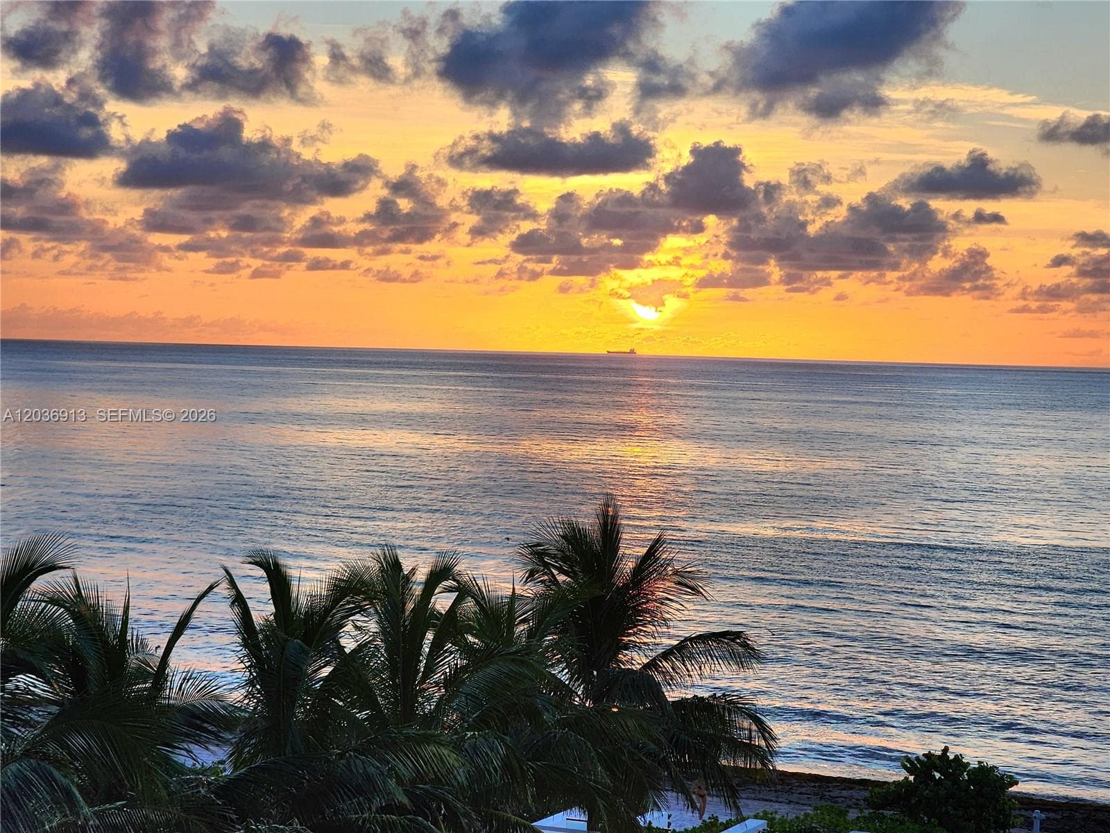 3505 S Ocean Dr # 705, Hollywood FL 33019