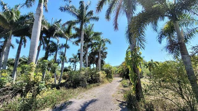 4095 Windmill Road, Loxahatchee FL 33470 - Loxahatchee, FL - Photo 2