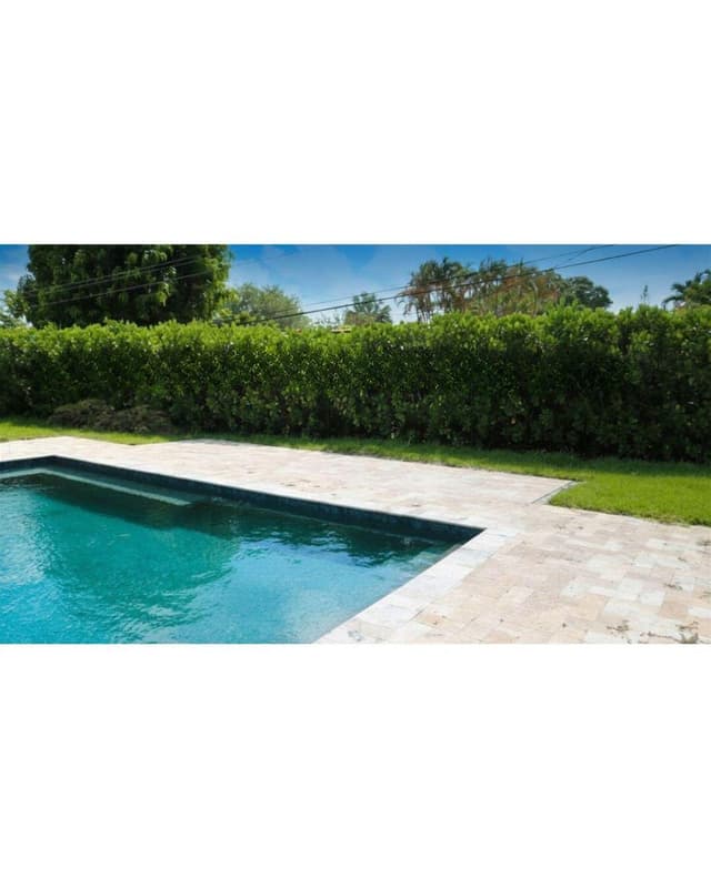 2801 NE 2nd Avenue, Wilton Manors FL 33334 - Wilton Manors, FL - Photo 3