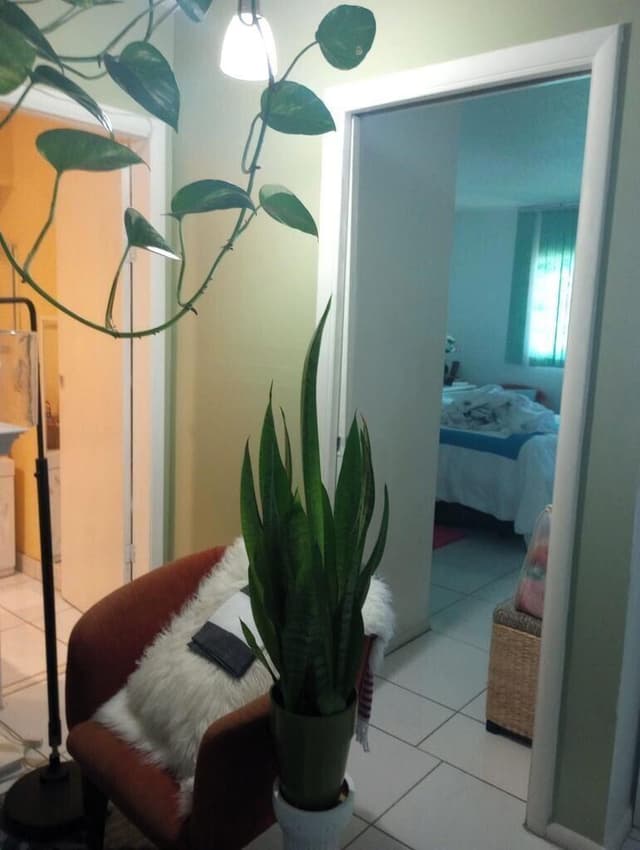 1250 E SAMPLE Road # 307, Pompano Beach FL 33064 - Pompano Beach, FL - Photo 2