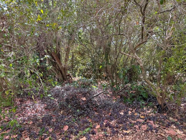 3358 S Jog Road, FL 33467 - Photo 2