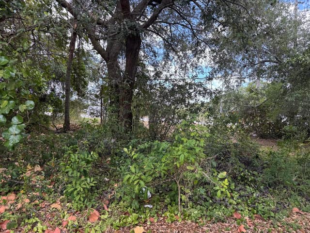 3358 S Jog Road, FL 33467 - Photo 7