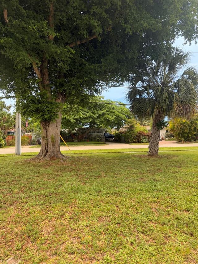 900 Citrus Isle, Fort Lauderdale FL 33315 - Fort Lauderdale, FL - Photo 2