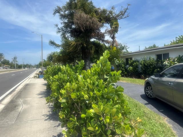 1320 NW 19TH Street, Fort Lauderdale FL 33311 - Fort Lauderdale, FL - Photo 2
