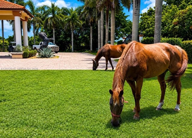 19701 SW 197th Ave, Miami FL 33187 - Miami, FL - Photo 3