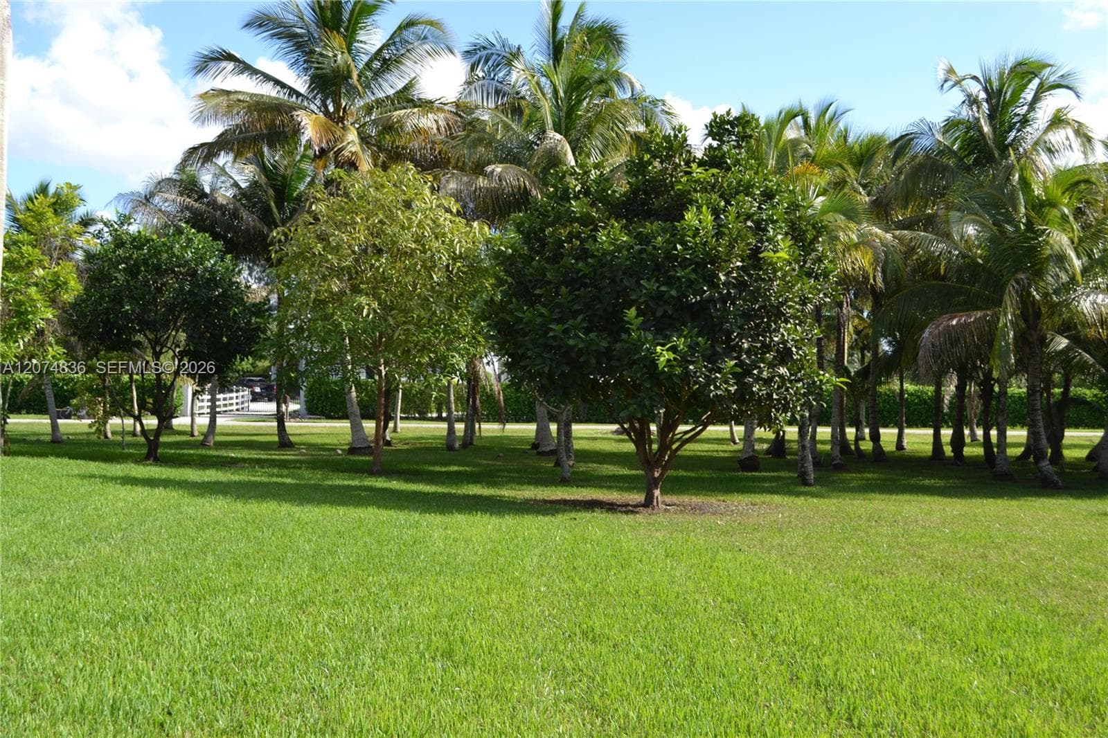 5425 SW 190th Ave, Southwest Ranches FL 33332 - Southwest Ranches, FL - Photo 1