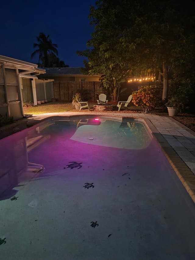 510 SE 4TH Court, Pompano Beach FL 33060 - Pompano Beach, FL - Photo 2