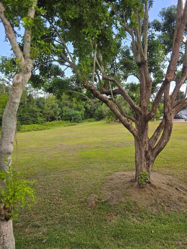 667 Saxony N, Delray Beach FL 33446 - Delray Beach, FL - Photo 2