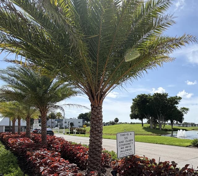 89 Normandy B, Delray Beach FL 33484 - Delray Beach, FL - Photo 2