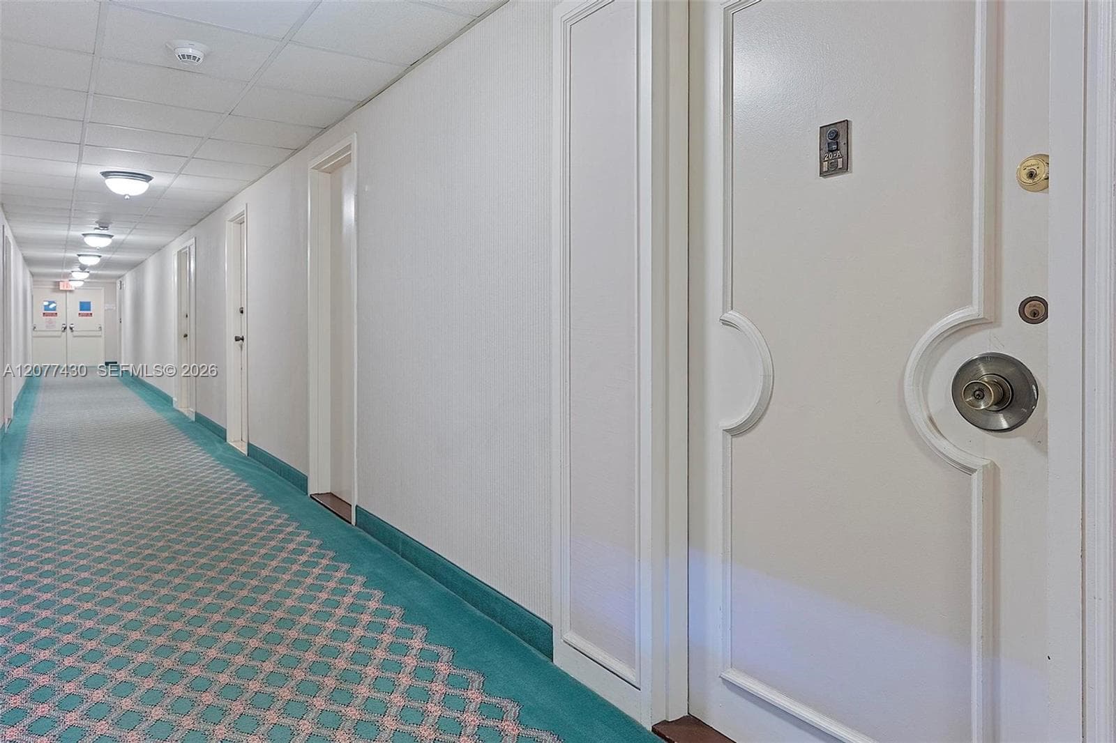 1980 S Ocean Dr # 20A, Hallandale Beach FL 33009 - Hallandale Beach, FL - Photo 1