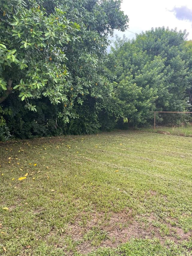 920 NW 3RD Street, Boynton Beach FL 33435 - Boynton Beach, FL - Photo 3