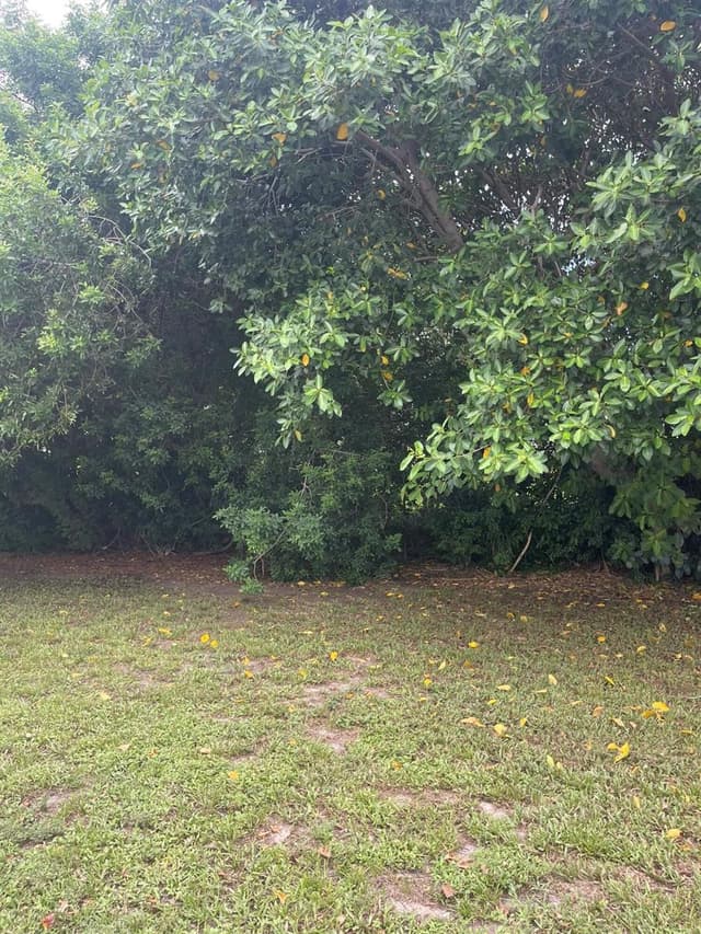 920 NW 3RD Street, Boynton Beach FL 33435 - Boynton Beach, FL - Photo 4