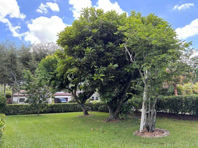 391 Mallard Point, Jupiter FL 33458 - Jupiter, FL - Photo 6