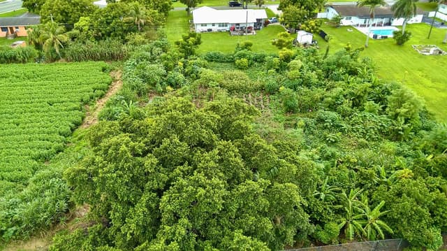 0 kismet, Pahokee FL - Pahokee, FL - Photo 6