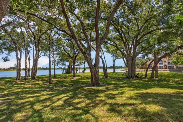2425 NW 33rd Street NW # 1309, Oakland Park FL 33309 - Oakland Park, FL - Photo 3