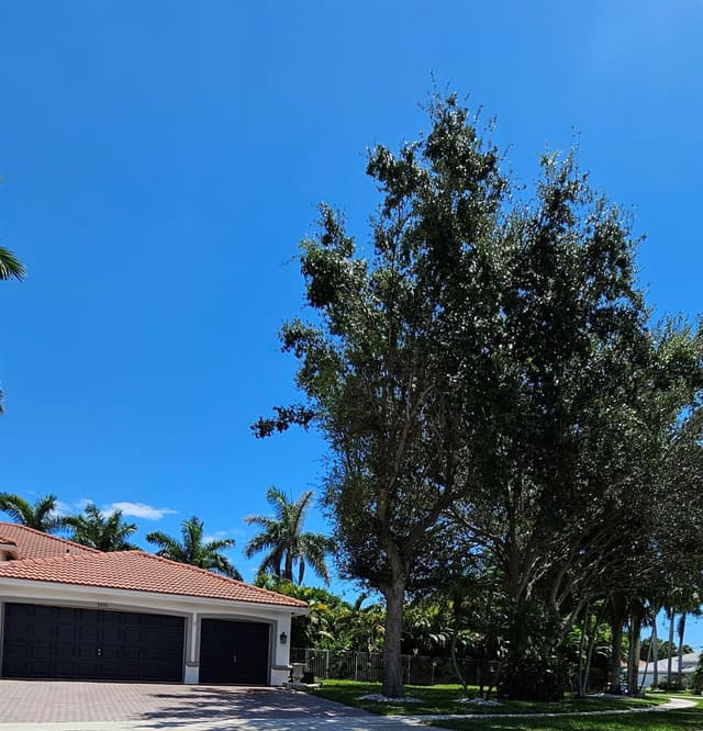 5291 Indianwood Village Lane, Lake Worth FL 33463 - Lake Worth, FL - Photo 5