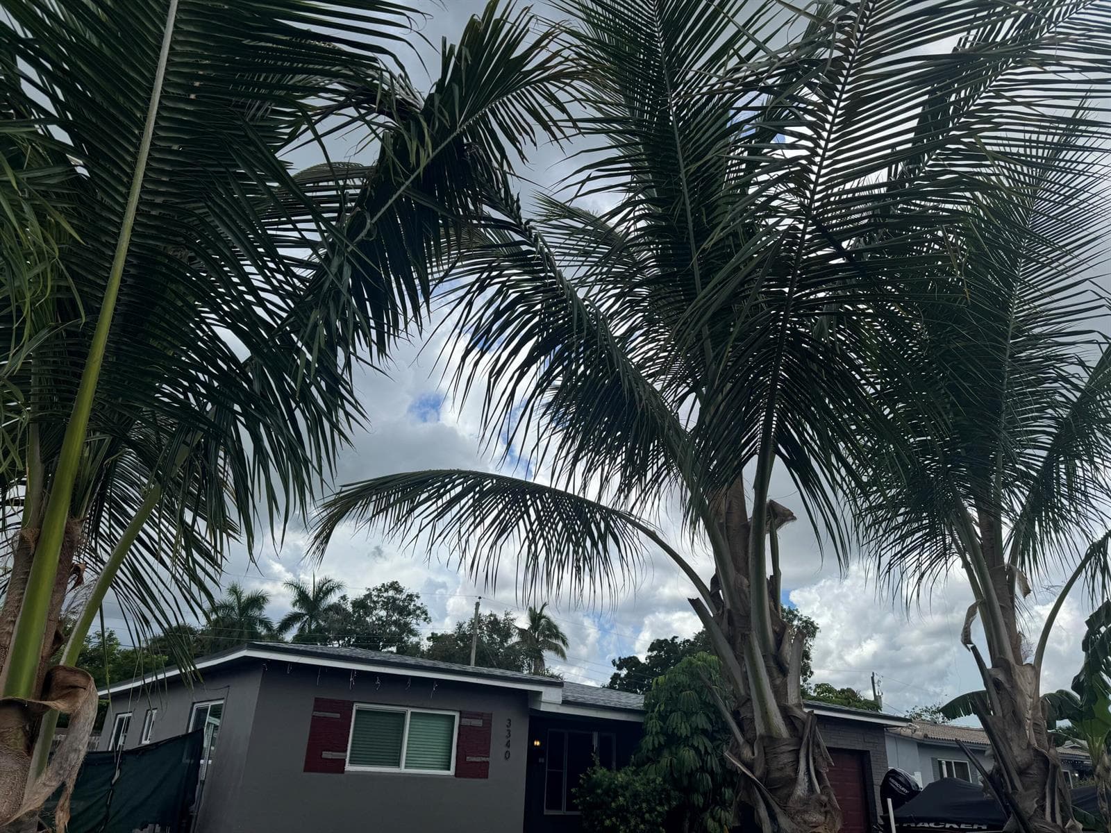 3340 SW 20TH Court, Fort Lauderdale FL 33312 - Fort Lauderdale, FL - Photo 1