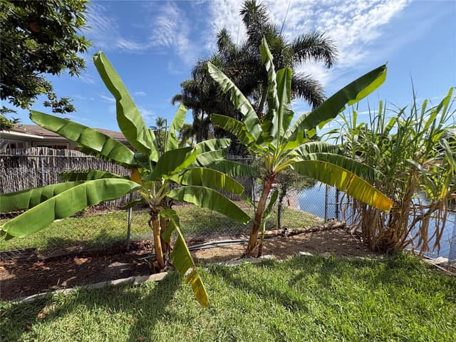 8250 NW 66th Ter, Tamarac FL 33321 - Tamarac, FL - Photo 5