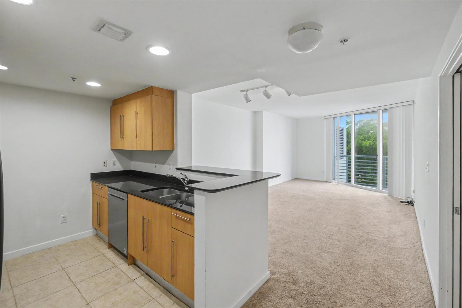 335 S Biscayne Boulevard # 1002, Miami FL 33131 - Miami, FL - Photo 1