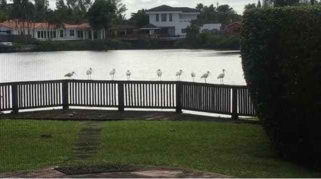 2390 NE 199th Street, Aventura FL 33180 - Aventura, FL - Photo 7
