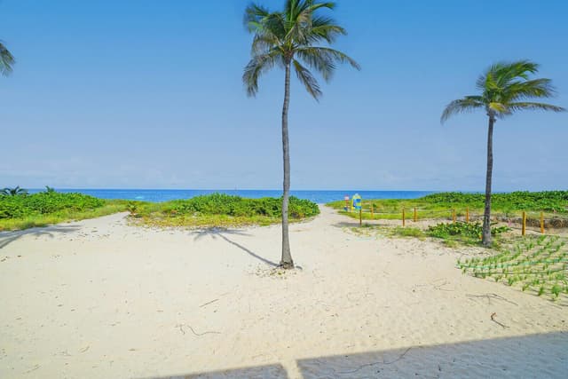 2000 S OCEAN Boulevard # 14L, Lauderdale By The Sea FL 33062 - Lauderdale By The Sea, FL - Photo 6