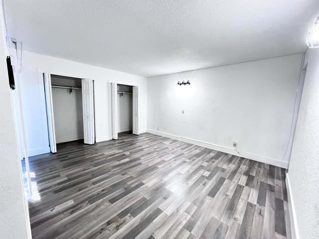 295 Woodland Road, Palm Springs FL 33461 - Palm Springs, FL - Photo 4