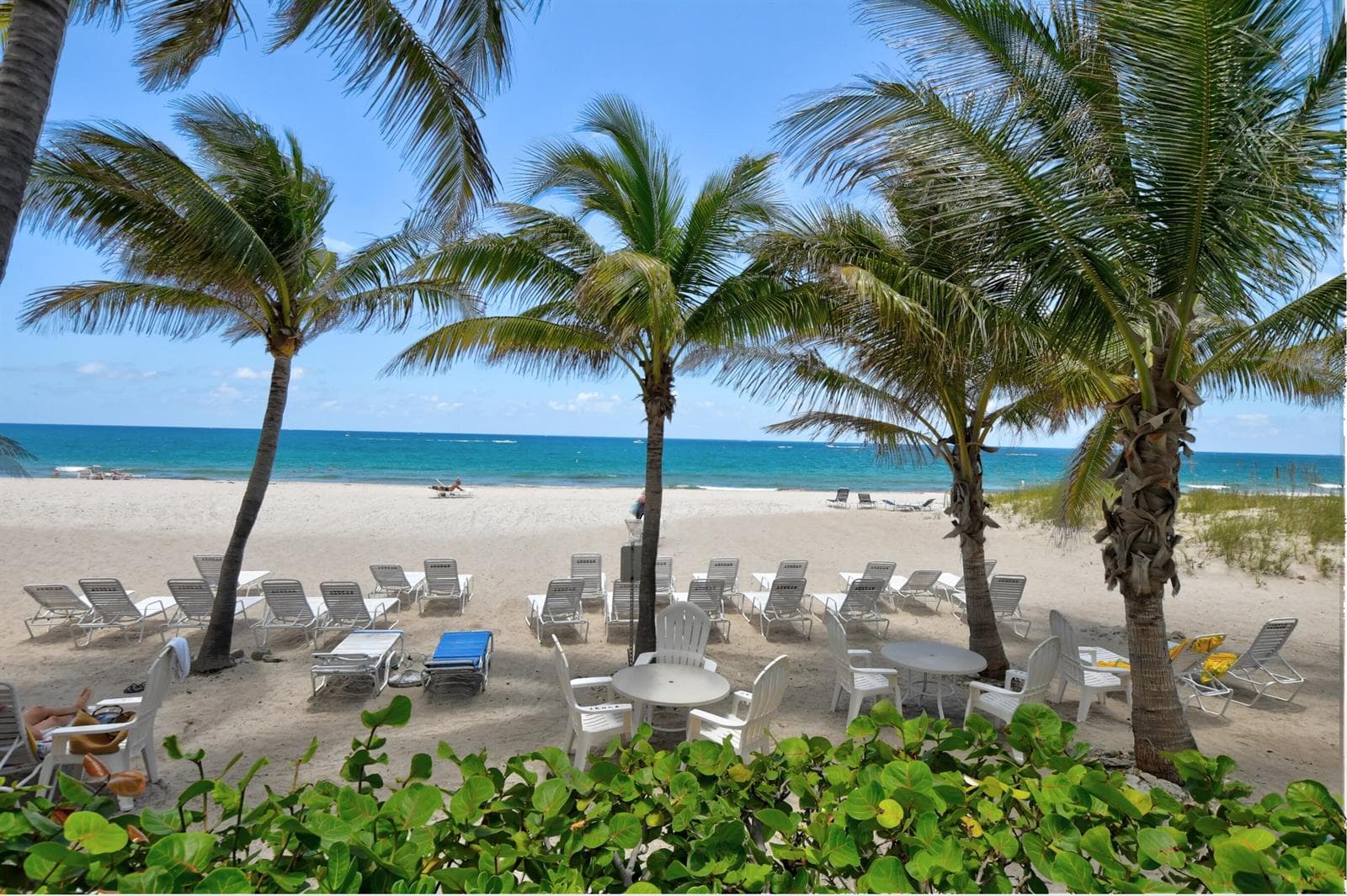 1010 S Ocean Boulevard # 1601, Pompano Beach FL 33062 - Pompano Beach, FL - Photo 1