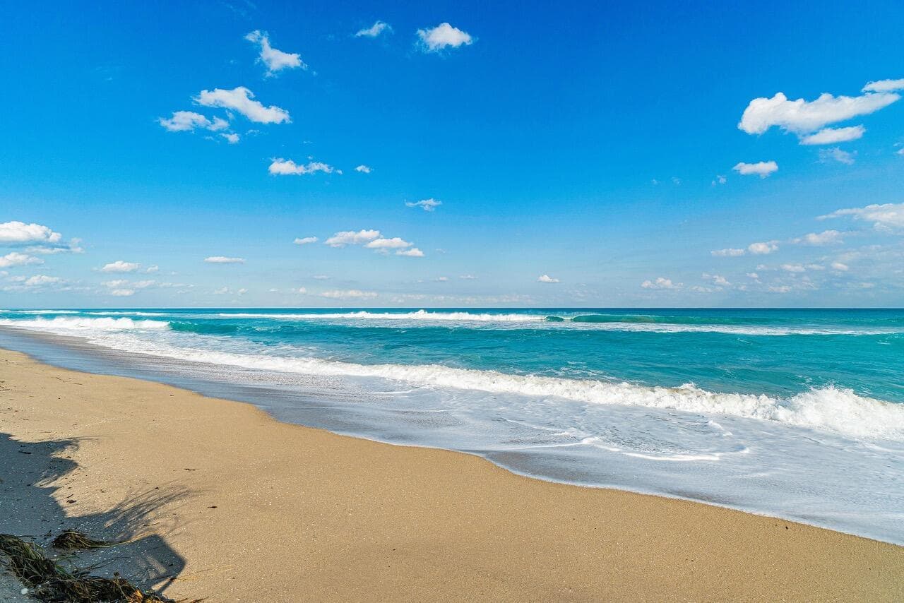 2100 S Ocean Boulevard # 402, Palm Beach FL 33480 - Palm Beach, FL - Photo 1