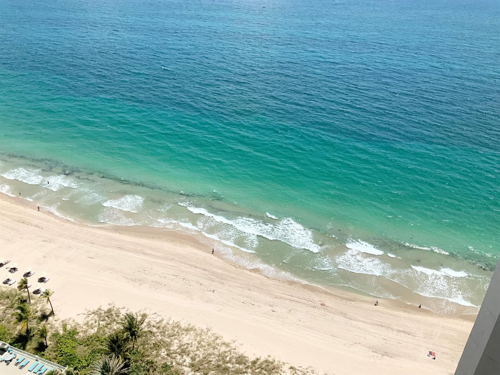 3200 N OCEAN Boulevard # 701, Fort Lauderdale FL 33308 - Fort Lauderdale, FL - Photo 1