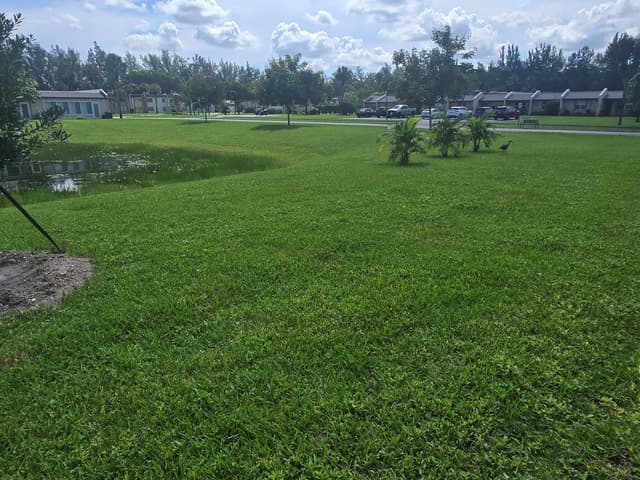 135 LAKE MERYL Drive, West Palm Beach FL 33411 - West Palm Beach, FL - Photo 3
