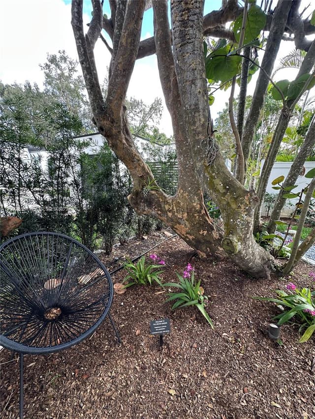 62 NW 105th St, Miami Shores FL 33150 - Miami Shores, FL - Photo 7