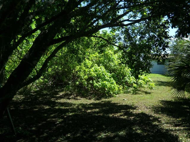 4639 SUNSET Lane, West Palm Beach FL 33415 - West Palm Beach, FL - Photo 6