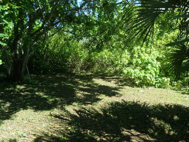 4639 SUNSET Lane, West Palm Beach FL 33415 - West Palm Beach, FL - Photo 5